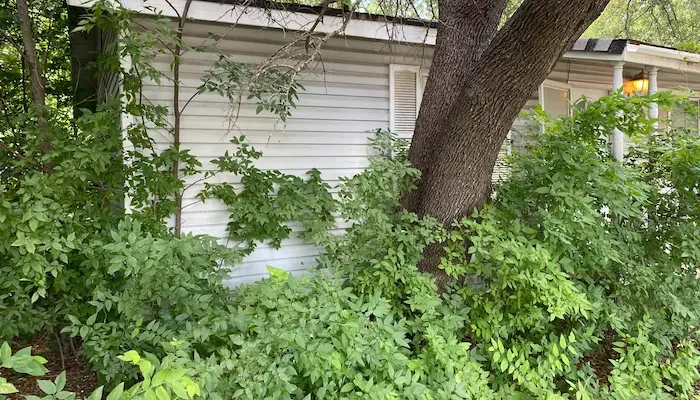 Code violations house in Rowlett Texas bought for cash by Hippie Home Buyers